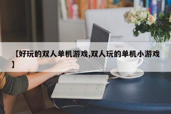 【好玩的双人单机游戏,双人玩的单机小游戏】