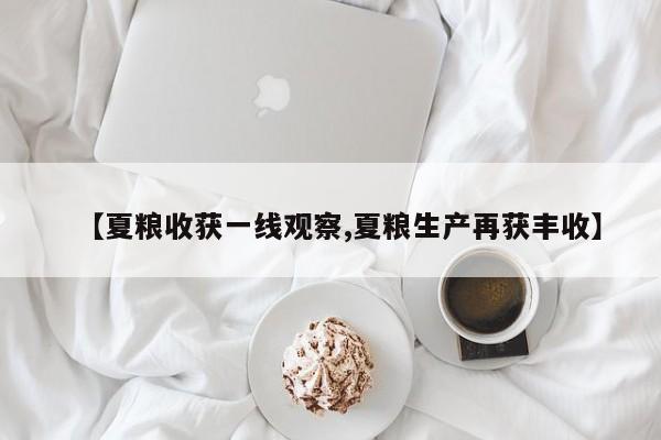 【夏粮收获一线观察,夏粮生产再获丰收】