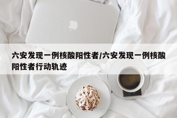 六安发现一例核酸阳性者/六安发现一例核酸阳性者行动轨迹